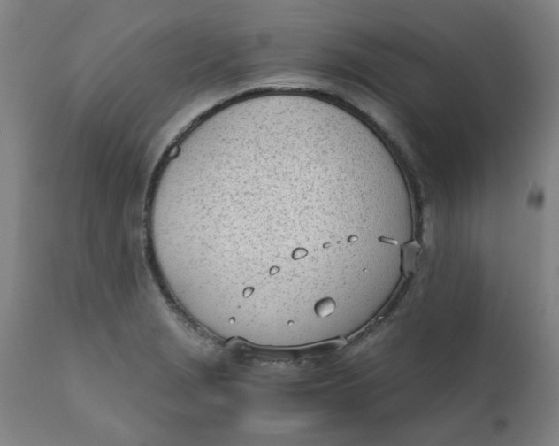 X0000110671229200907021838