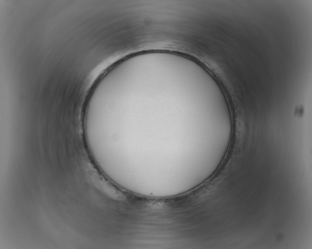 X0000110671230200907021838