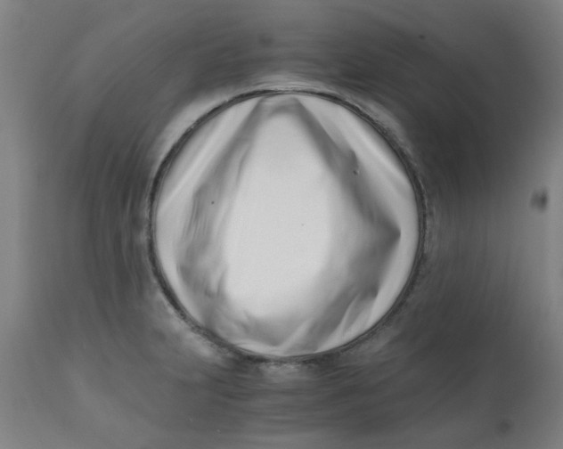 X0000110671231200907021838
