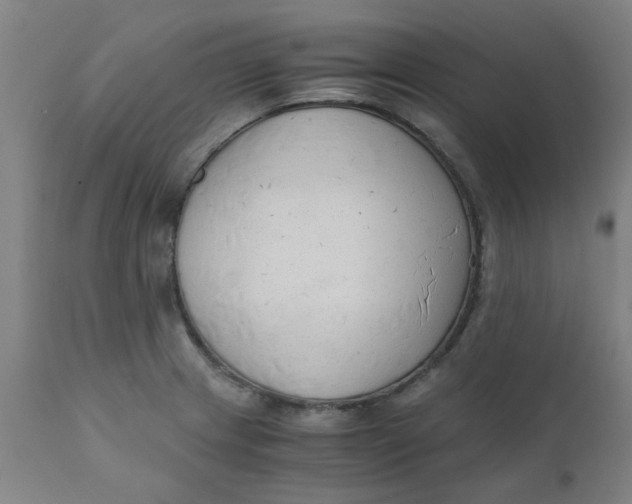 X0000110671233200907021838