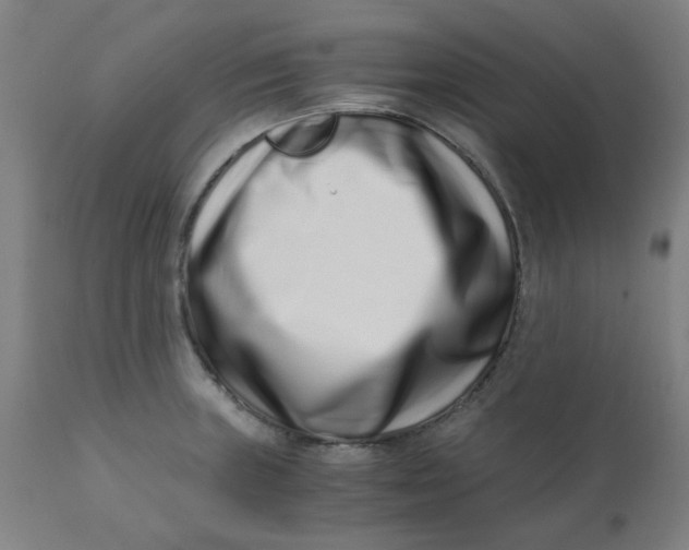 X0000110671235200907021838