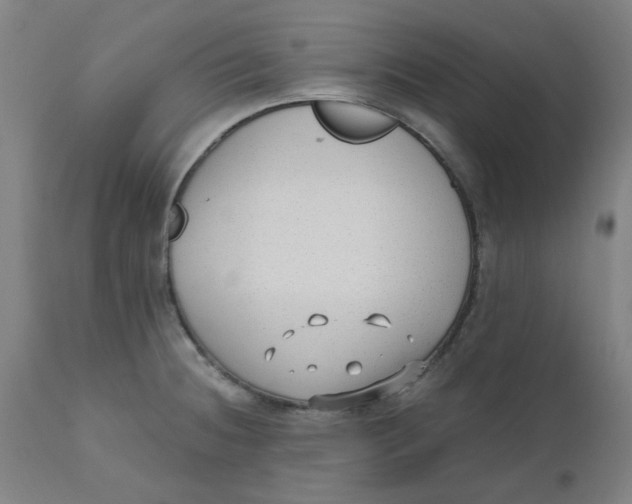 X0000110671236200907021838