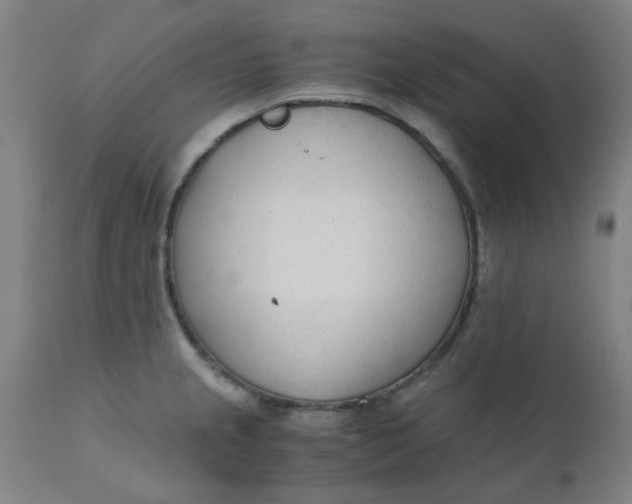 X0000110671237200907021838