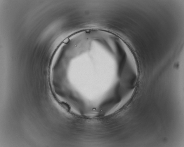 X0000110671239200907021838