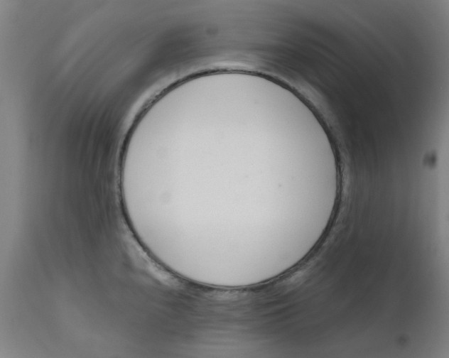 X0000110671240200907021838