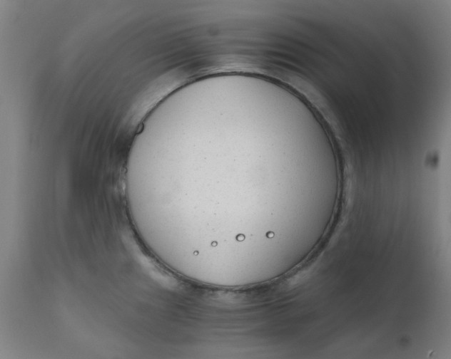 X0000110671241200907021838