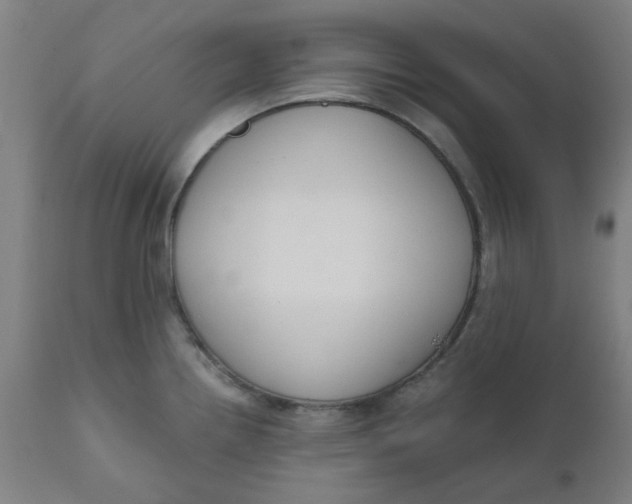 X0000110671242200907021838