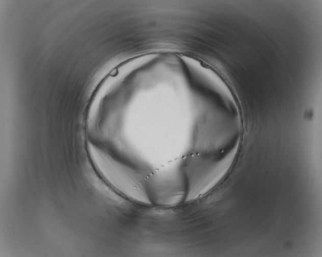 X0000110671243200907021838