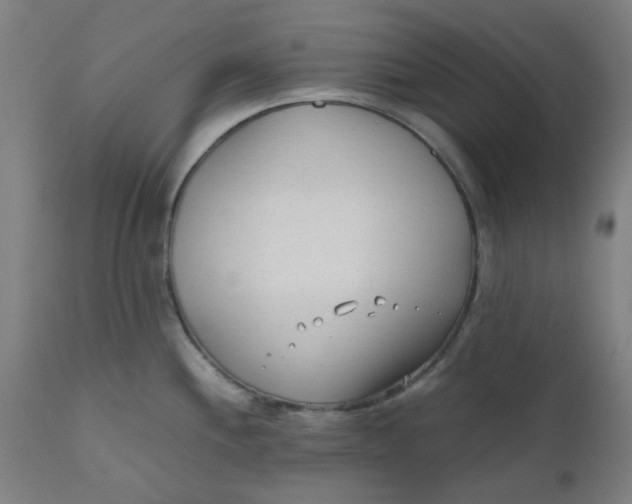 X0000110671244200907021838