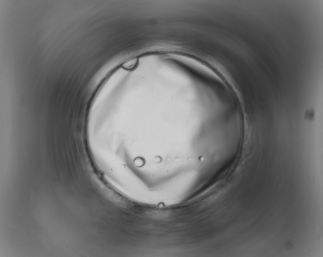 X0000110671245200907021838