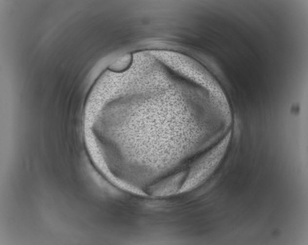 X0000110671247200907021838