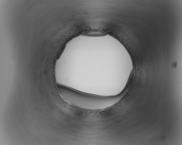 X0000110671249200907021838