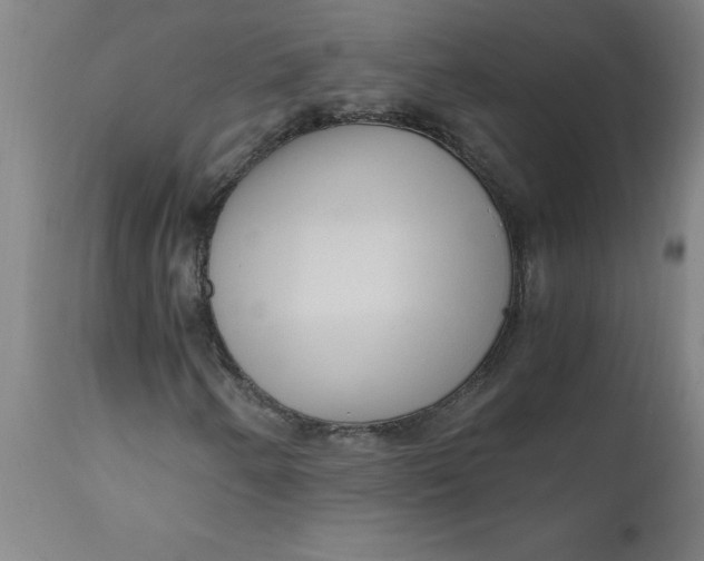 X0000110671250200907021838