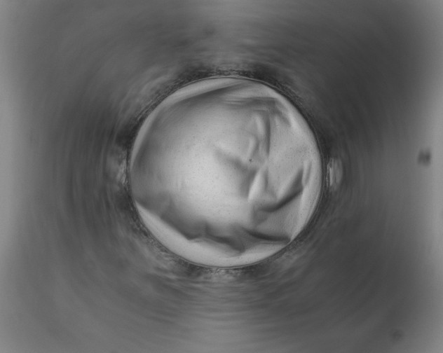 X0000110671251200907021838
