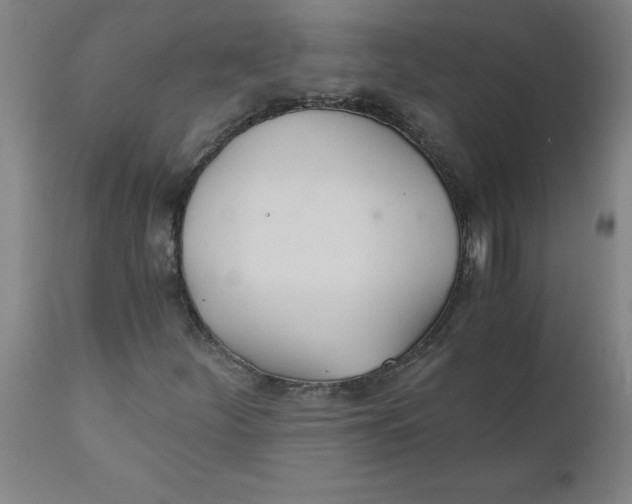 X0000110671252200907021838