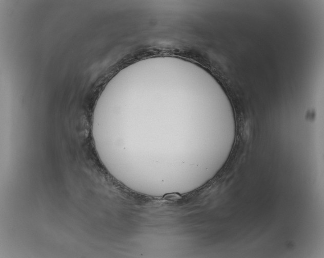 X0000110671253200907021838