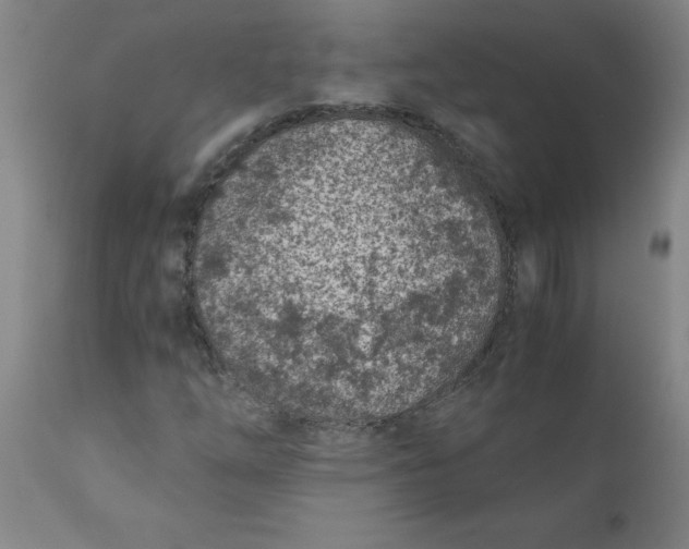 X0000110671254200907021838
