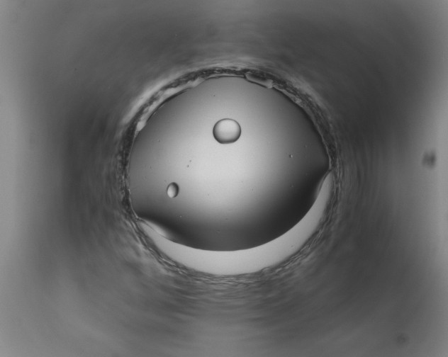 X0000110671256200907021838