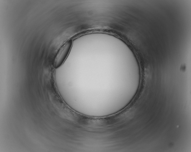 X0000110671257200907021838