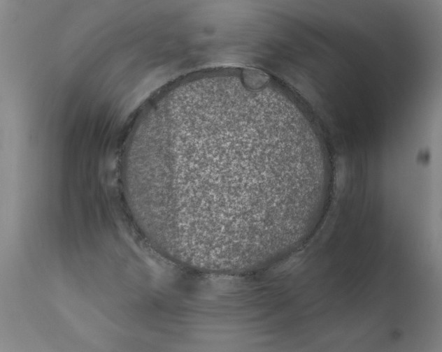 X0000110671258200907021838