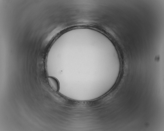 X0000110671259200907021838
