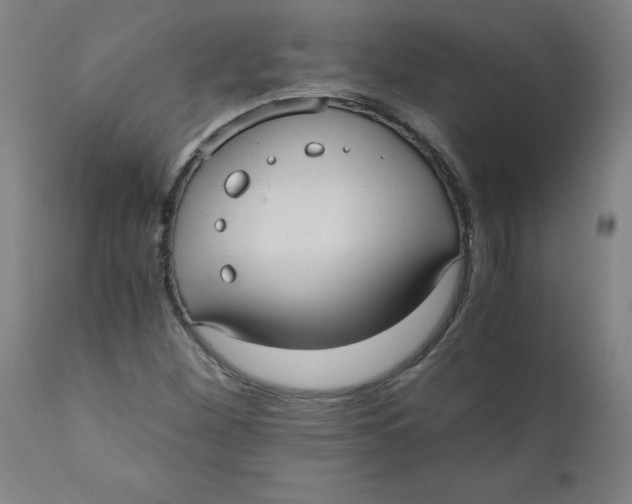 X0000110671260200907021838