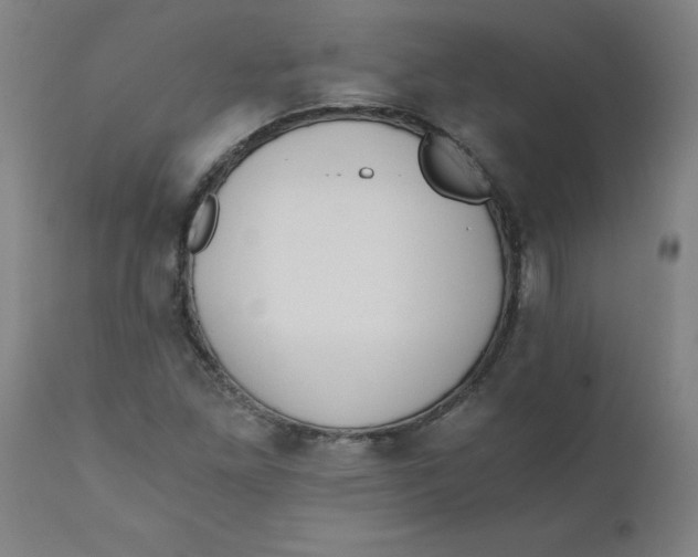 X0000110671261200907021838
