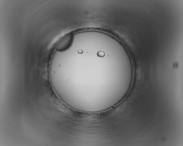 X0000110671262200907021838