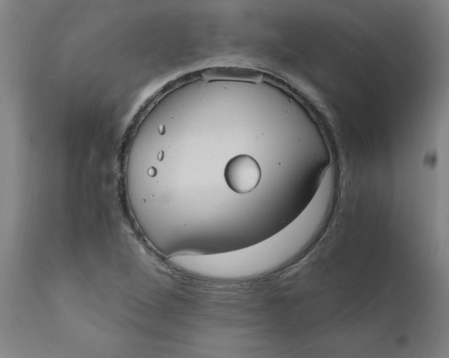 X0000110671264200907021838