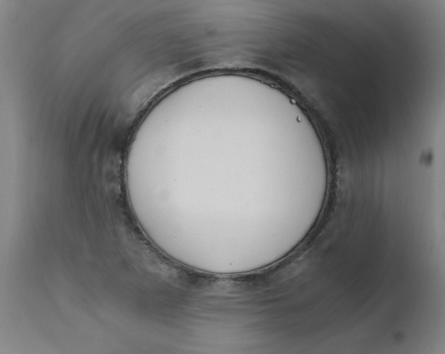 X0000110671265200907021838