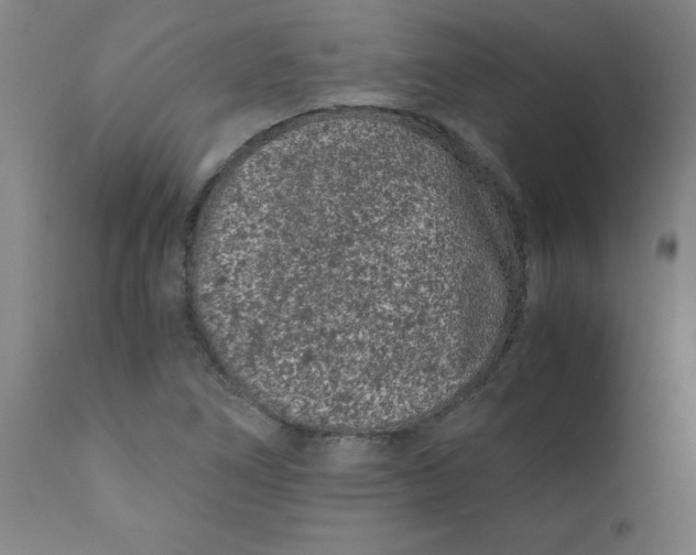 X0000110671266200907021837