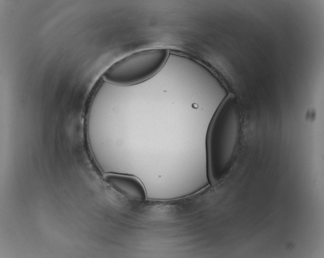 X0000110671268200907021837