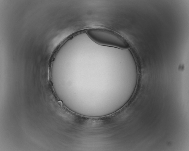 X0000110671269200907021837