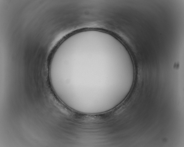 X0000110671270200907021837