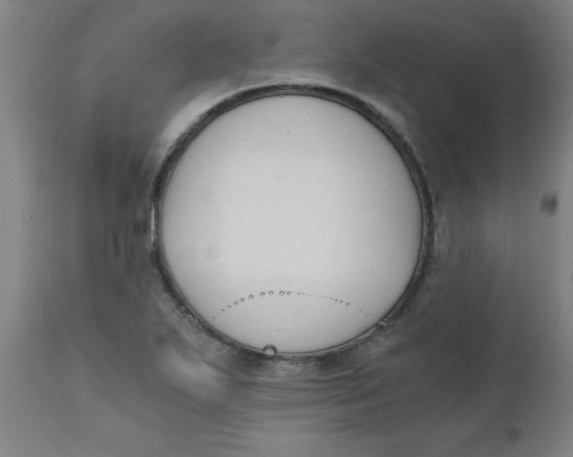 X0000110671271200907021837