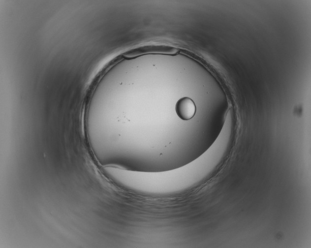 X0000110671272200907021837