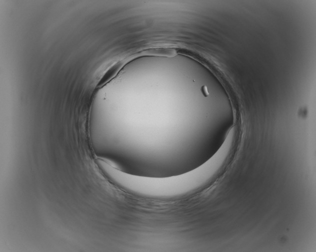 X0000110671273200907021837