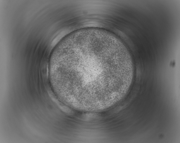 X0000110671274200907021837