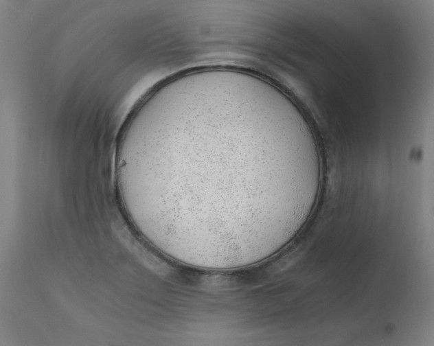 X0000110671275200907021837