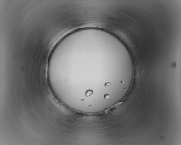 X0000110671276200907021837