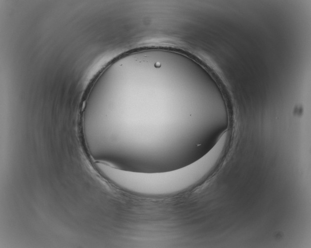 X0000110671277200907021837