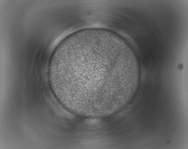 X0000110671278200907021837