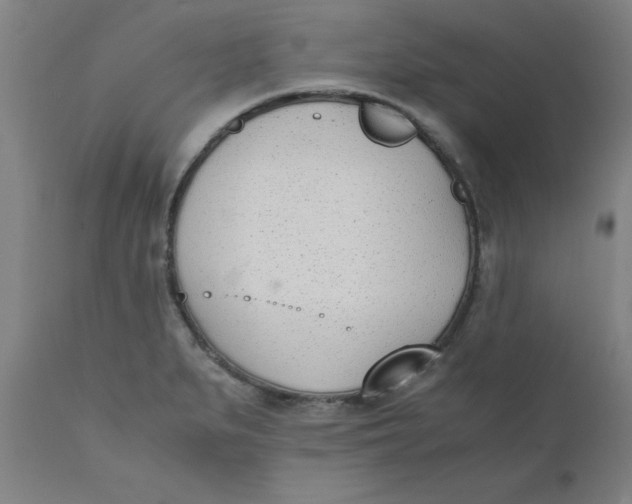 X0000110671279200907021837