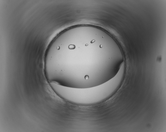 X0000110671280200907021837