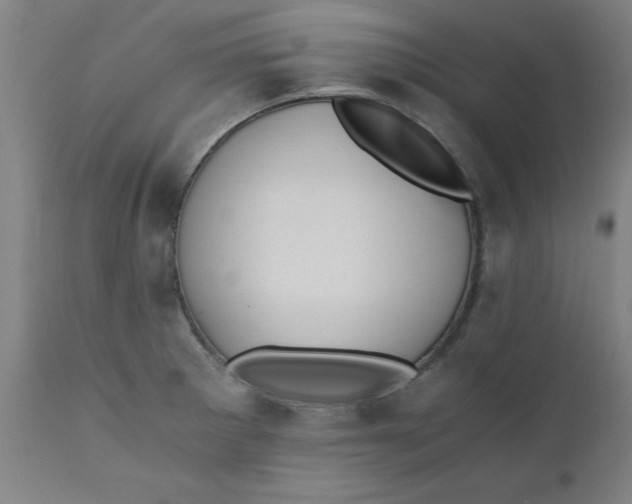 X0000110671281200907021837