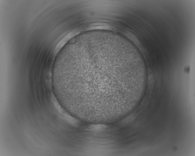 X0000110671282200907021837