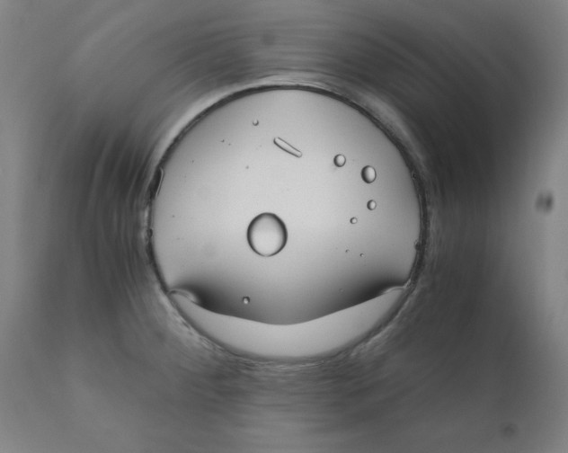 X0000110671284200907021837