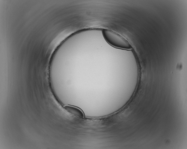 X0000110671285200907021837