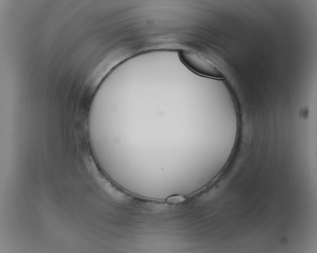 X0000110671289200907021837