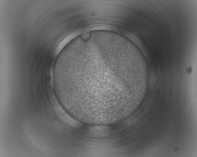 X0000110671290200907021837